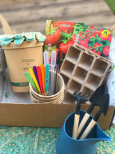 Cargar imagen en el visor de la galería, Un kit de cultivo para niños ideal para regalar y aprender a plantar plantas
