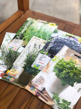 Cargar imagen en el visor de la galería, semillas de plantas aromáticas para tener siempre hierbas frescas en la cocina. 

