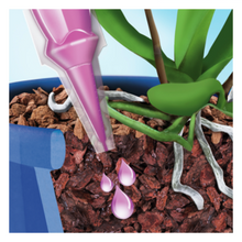 Cargar imagen en el visor de la galería, Aplicar la monodosis de fertilizante de orquídeas en el sustrato de la planta
